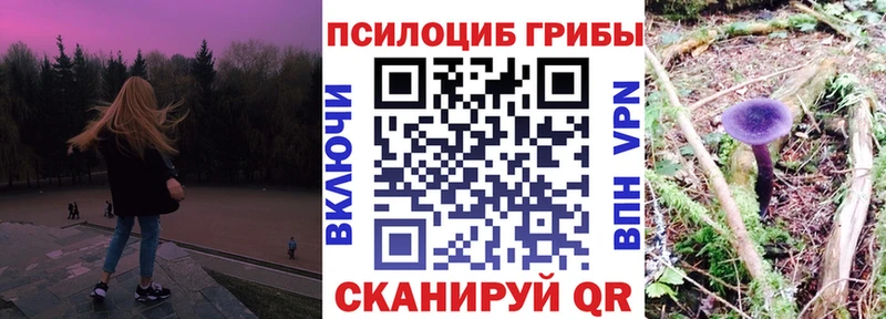 Псилоцибиновые грибы Psilocybe  ссылка на мегу ТОР  Зерноград 